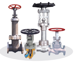 Bellows Valves