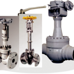 Cryogenic Valves
