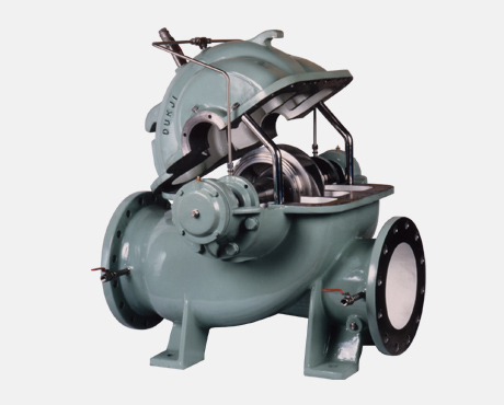 BƠM HAI ĐẦU HÚT Model DSV