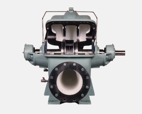 BƠM HAI ĐẦU HÚT Model DSV - Ảnh 2